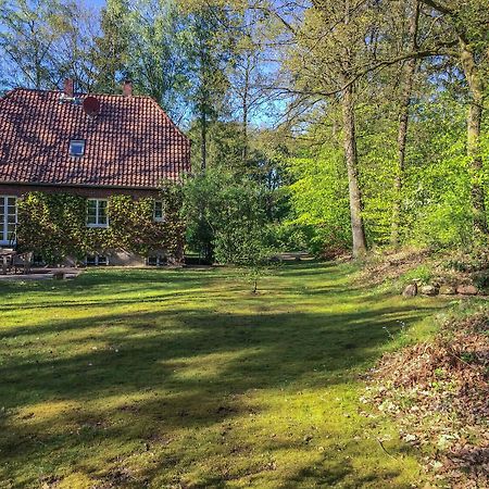 Forsthaus - Gut Thansen Soderstorf Dış mekan fotoğraf