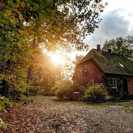 Forsthaus - Gut Thansen Soderstorf Dış mekan fotoğraf
