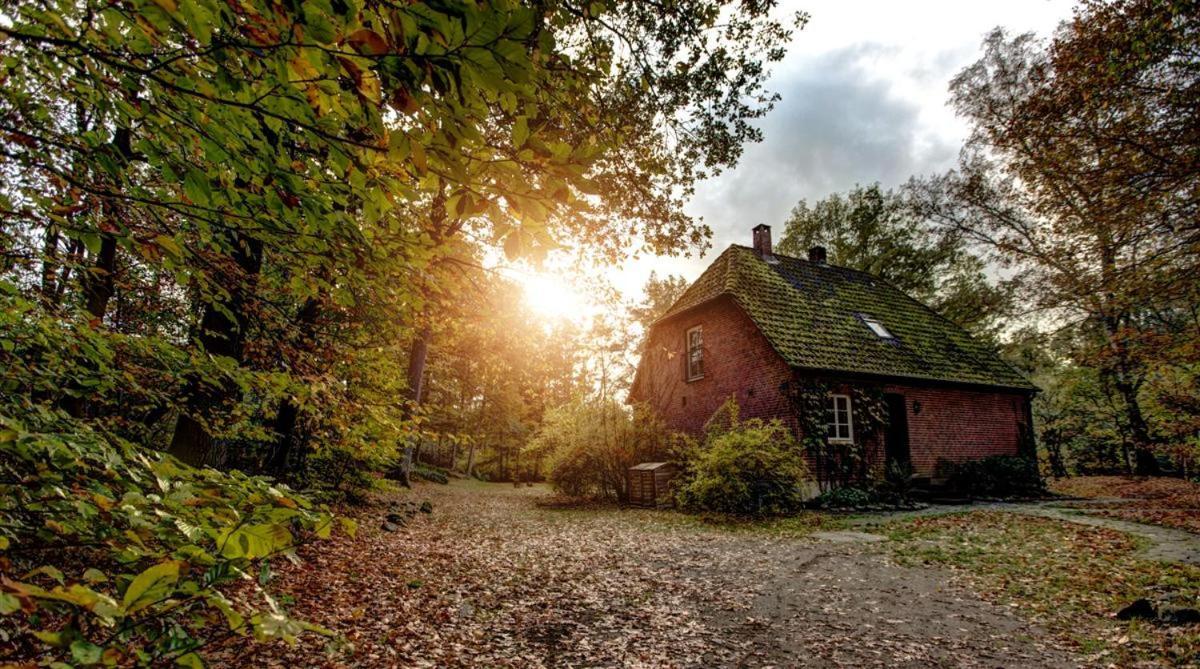 Forsthaus - Gut Thansen Soderstorf Dış mekan fotoğraf